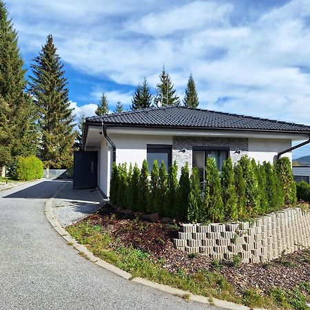 Mb Apartmany Lipno 伏尔塔瓦河畔利普诺 外观 照片